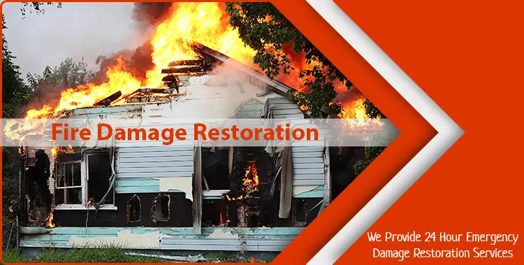 #bslide1 logo-image - banner-25-01